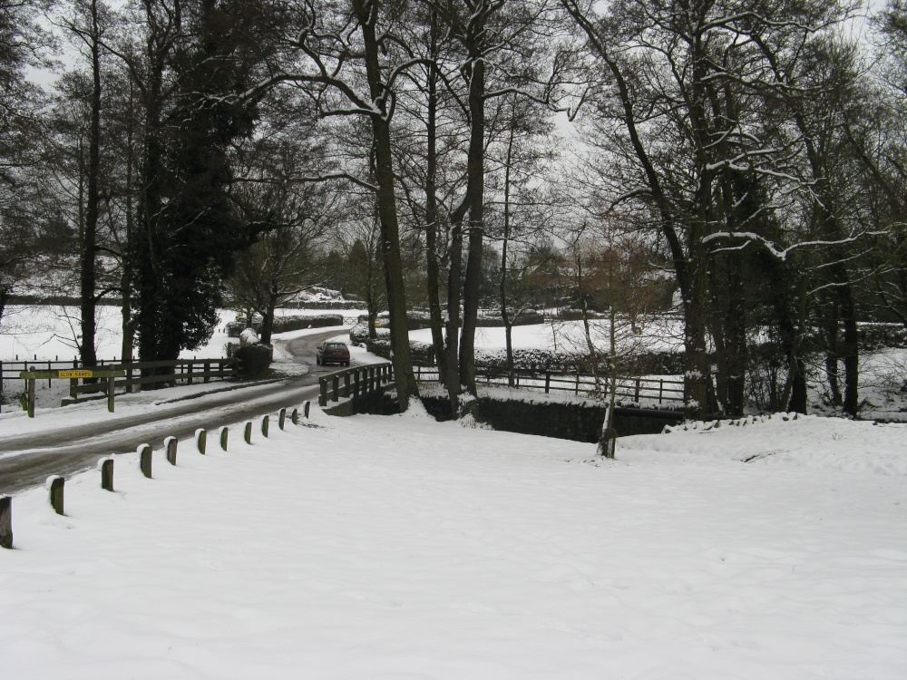 Bradgate Park