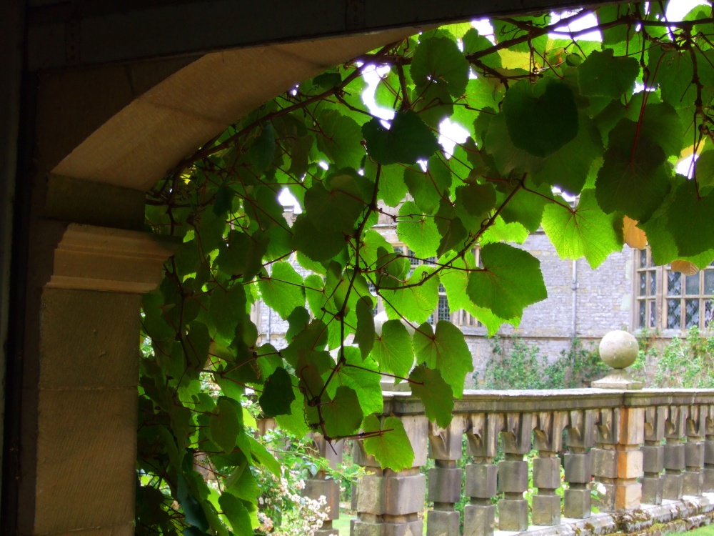 Sitting in the arbour, Haddon Hall