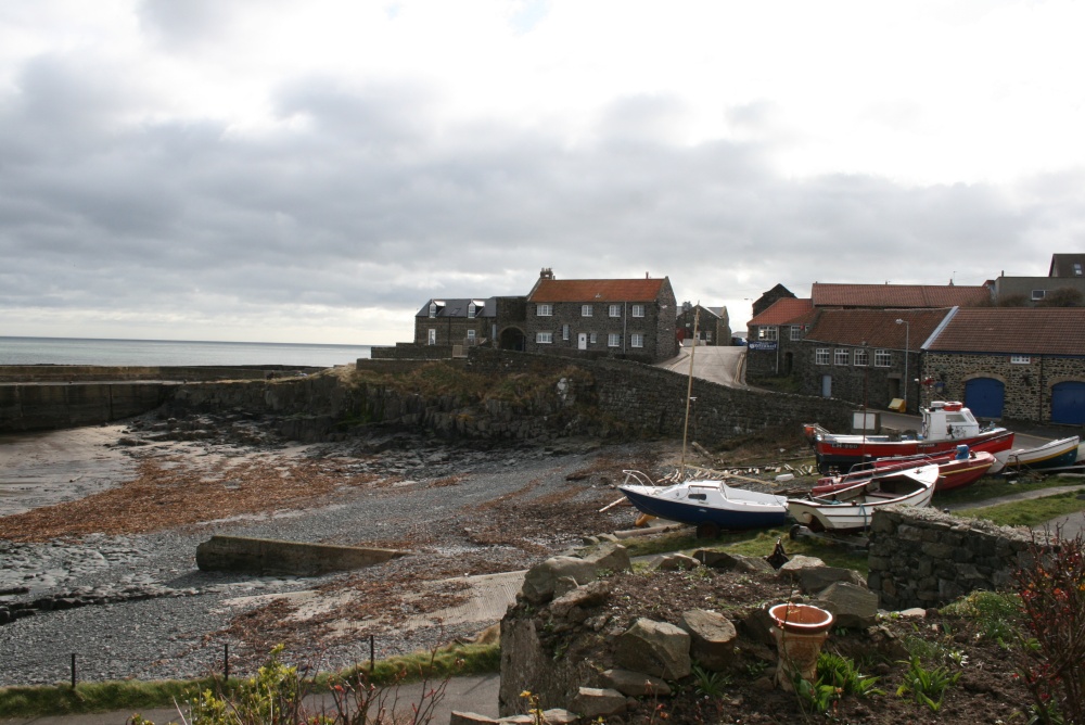 Craster