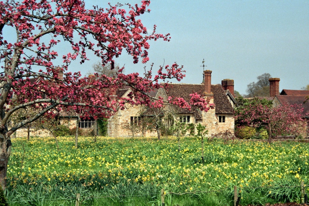 Adjoining buildings of Hever Castle