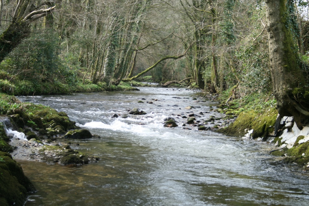 Photograph of River Dart