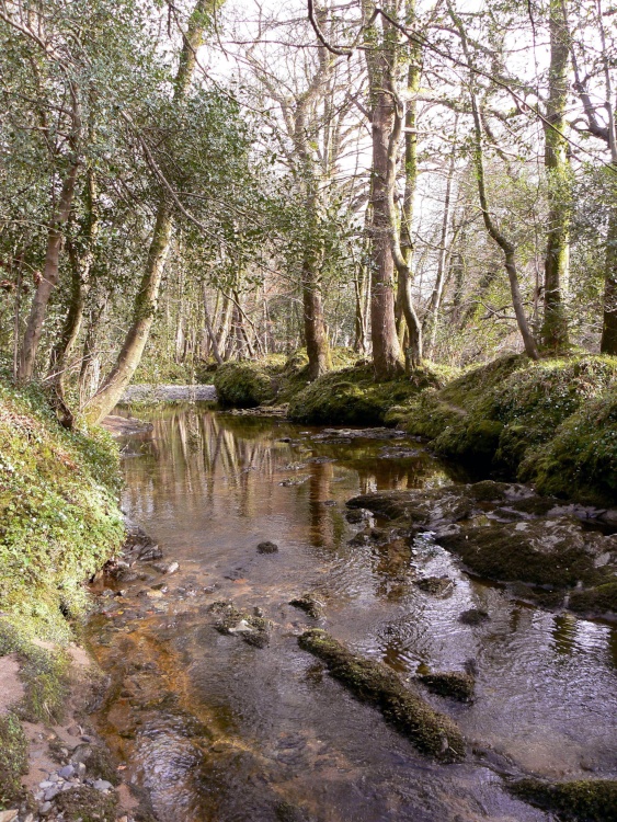 River Dart at Buckfastleigh