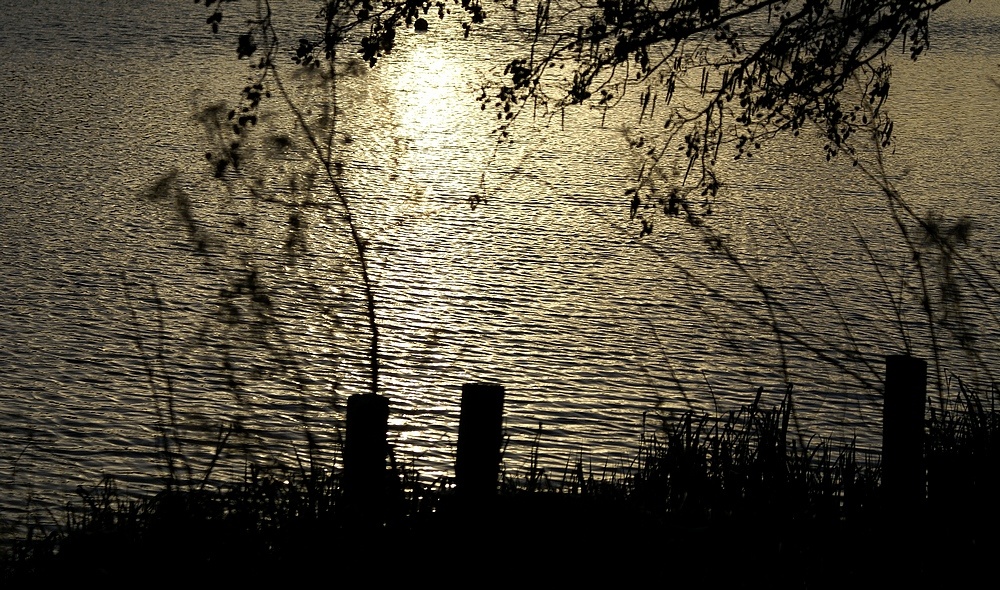 Lakeside Country Park Eastleigh