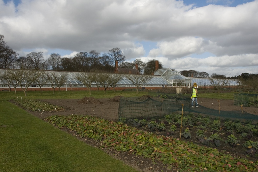 Greenhouse and Vegetable Garden