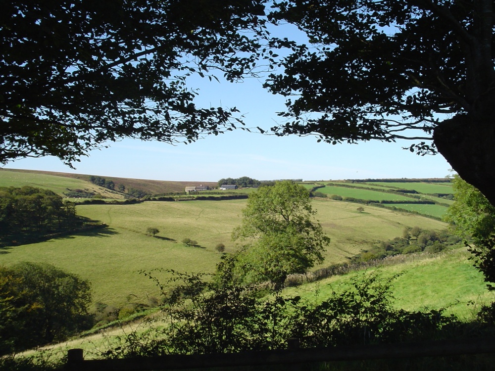 Exmoor, Devon