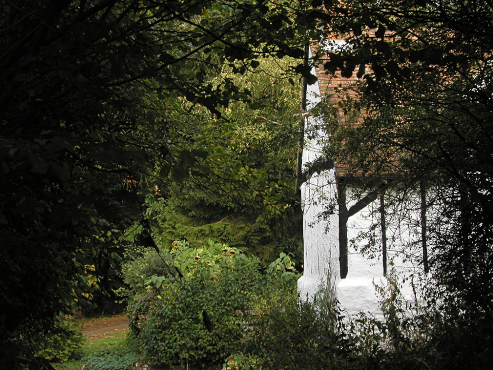 A cottage deep in the woods near Henley on Thames, Oxfordshire