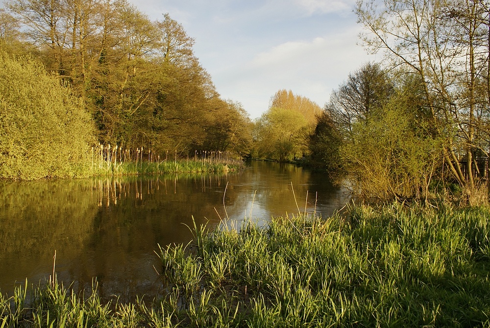 By the river