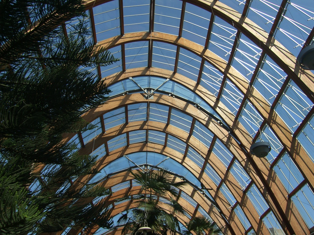 Winter Garden roof