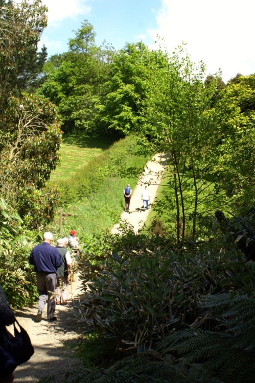 Path down to the valley.