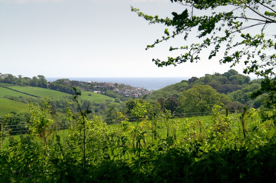 Mevagissey taken from the Lost Gardens.