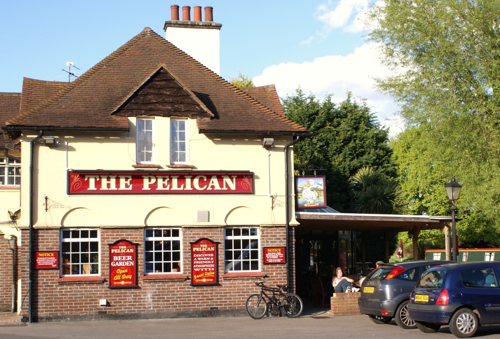 The Pelican