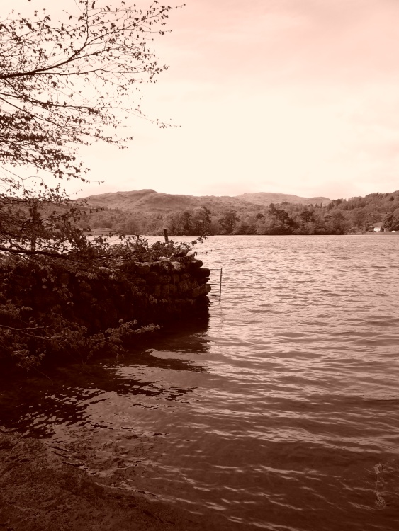 Rydal Water near Ambleside