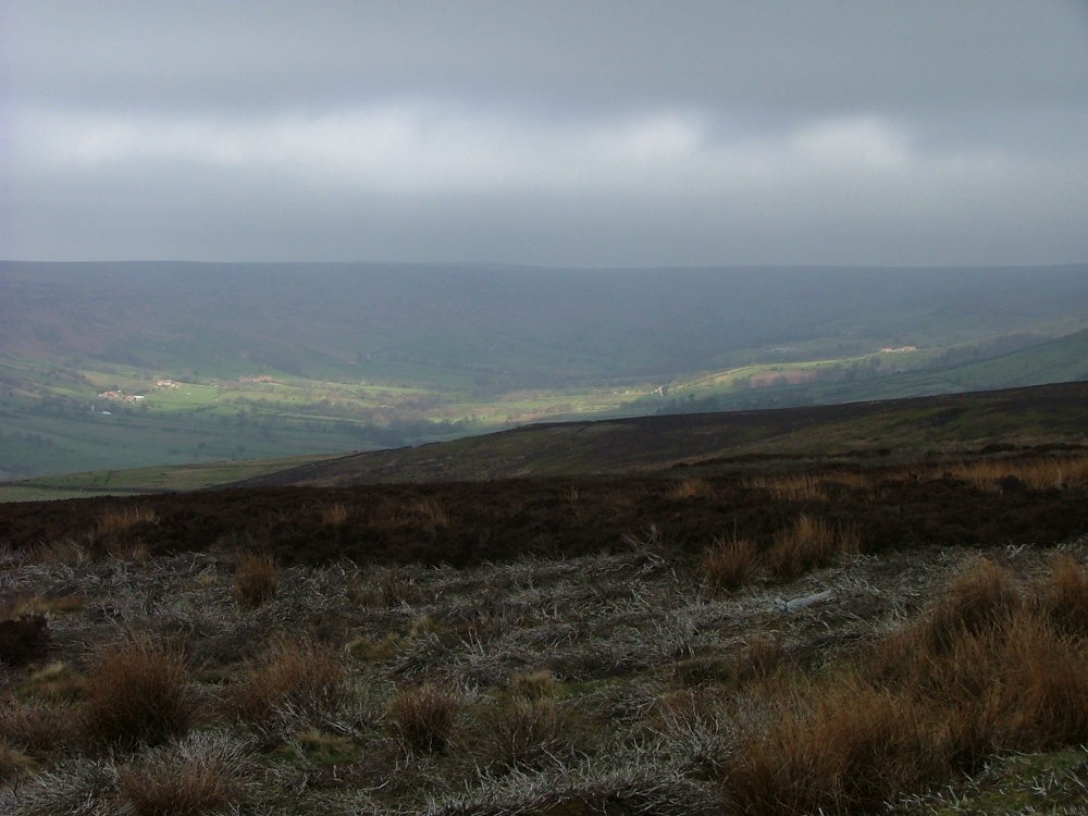 North York Moors