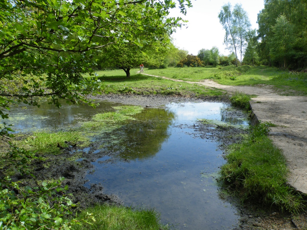 Ruislip Common