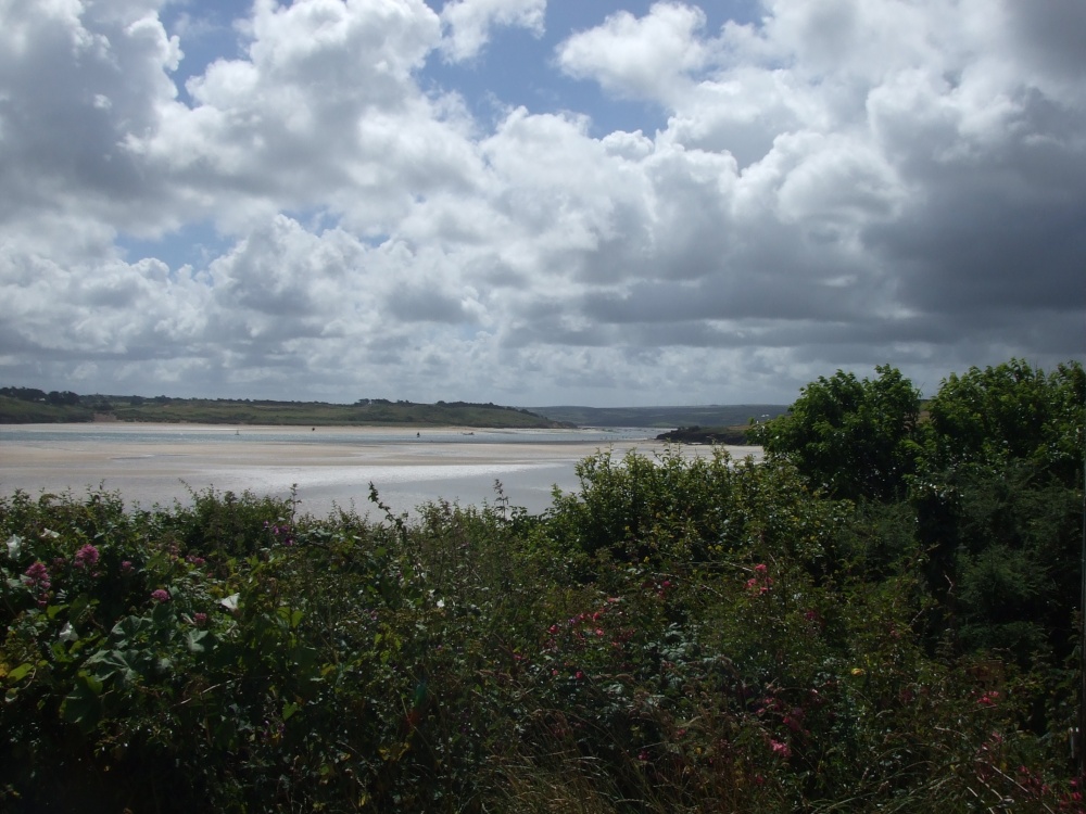 Camel Estuary