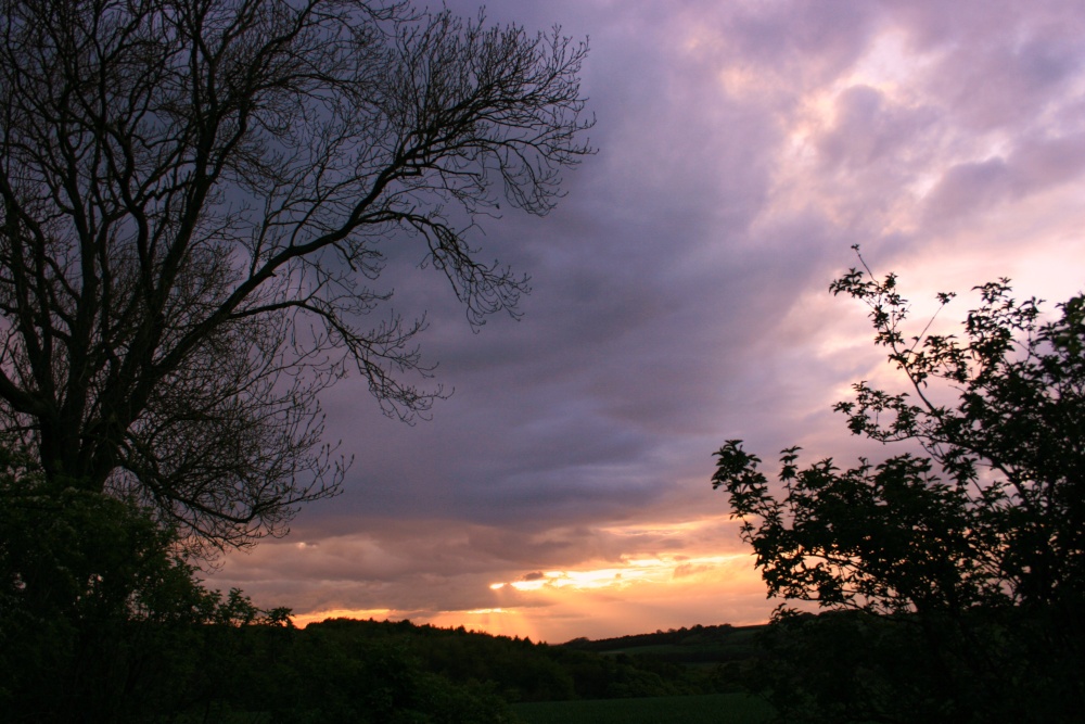 Sundown at Weedley Springs