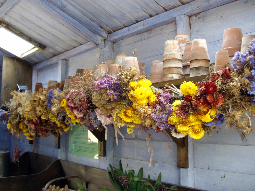 The garden shed at Harlow Carr