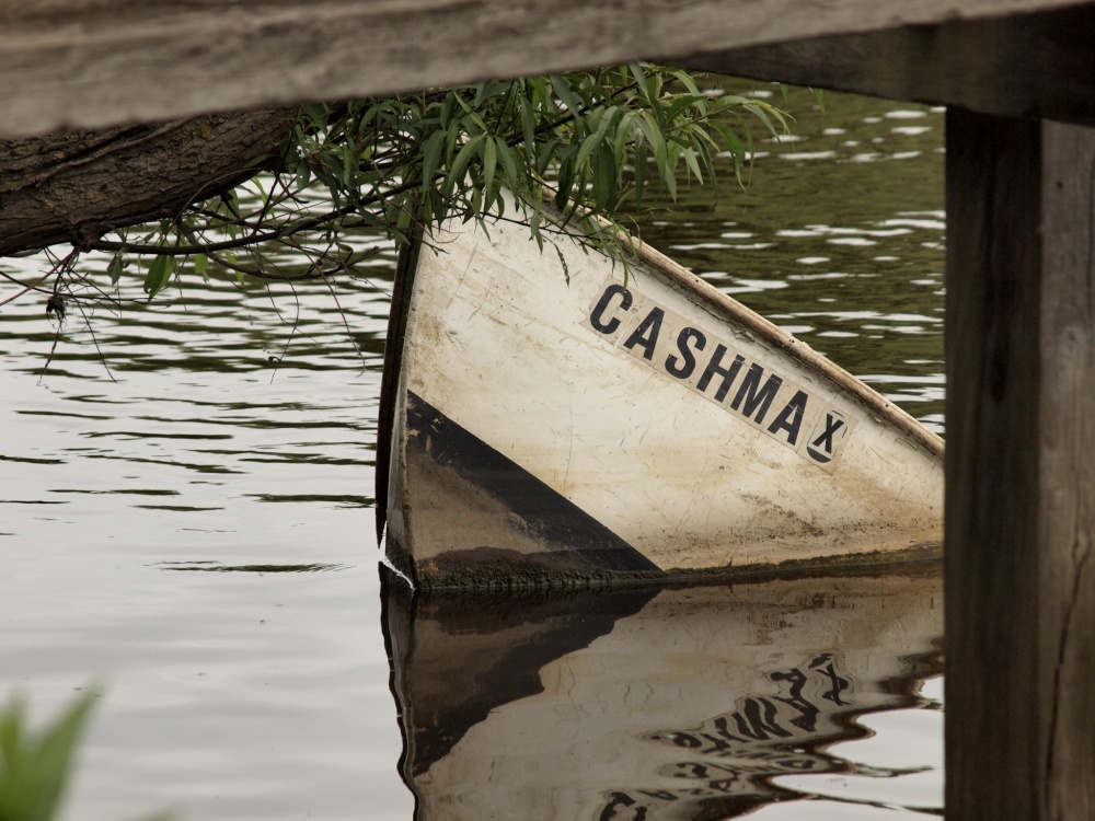 Sunk boat, River Thames, Goring, Oxon.