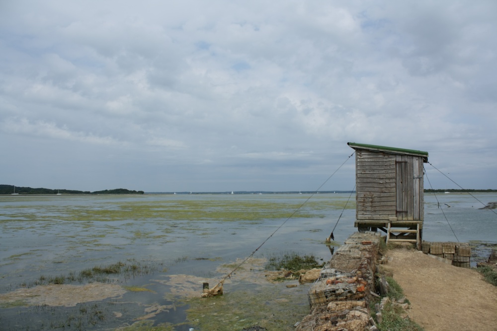 Newtown, Isle of Wight