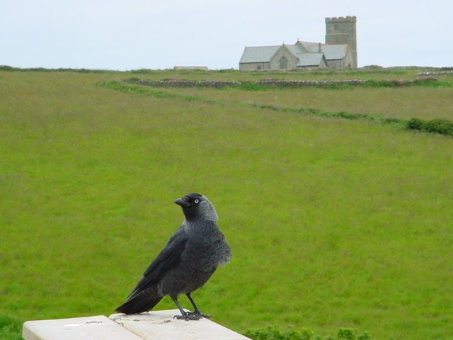 Rook and  Church