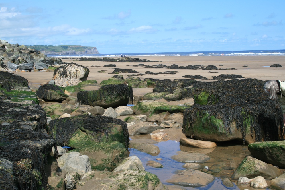 Whitby Rocks