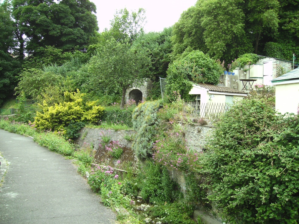 Small quiet garden