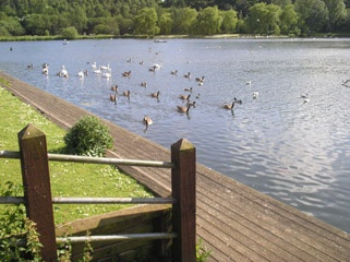 Photograph of Moses Gate Country Park near Little Lever