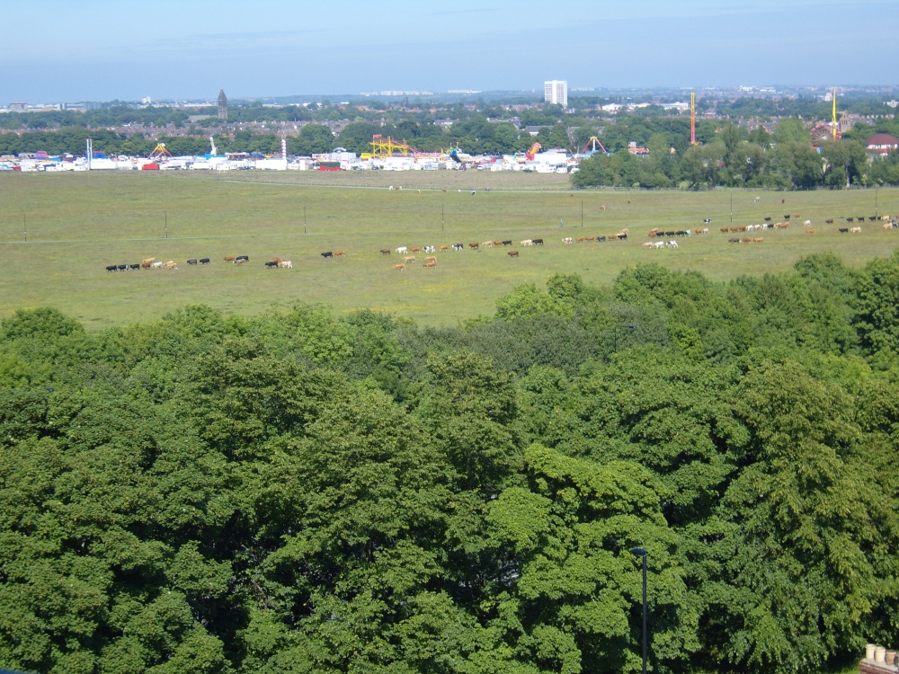 Annual Hoppings on the Town Moor