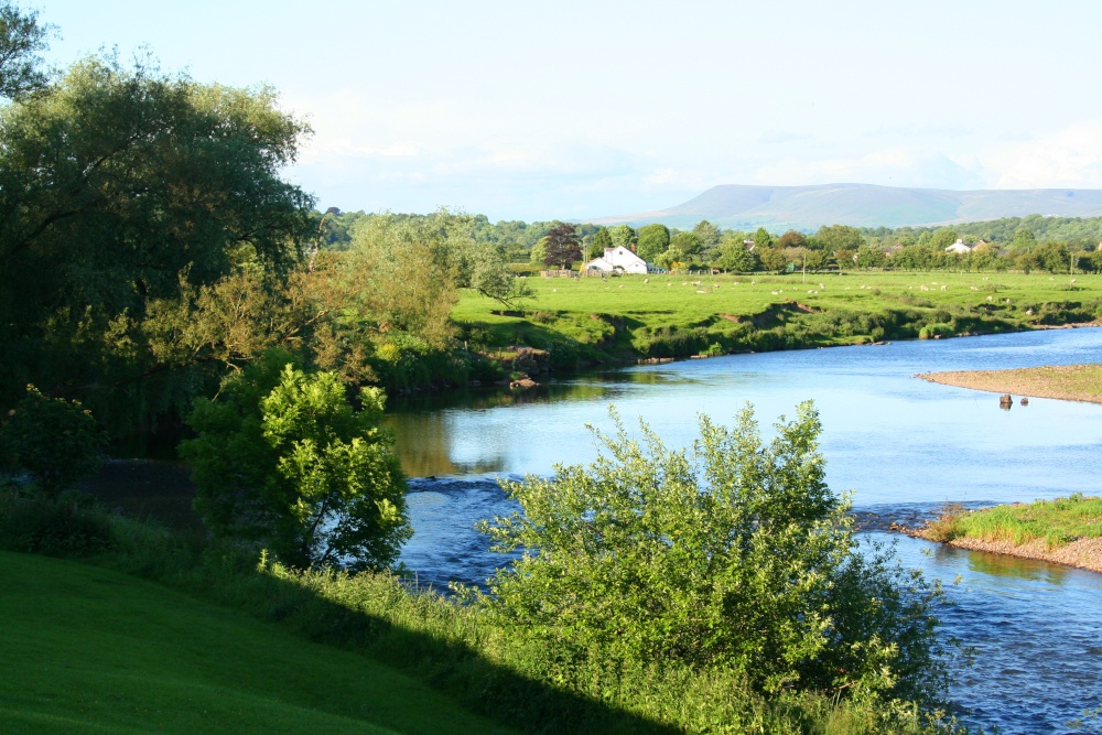 River Ribble