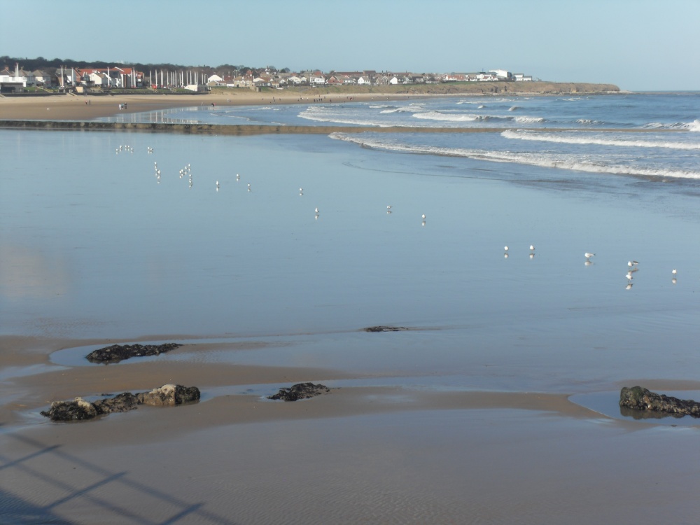 Sunderland seafront