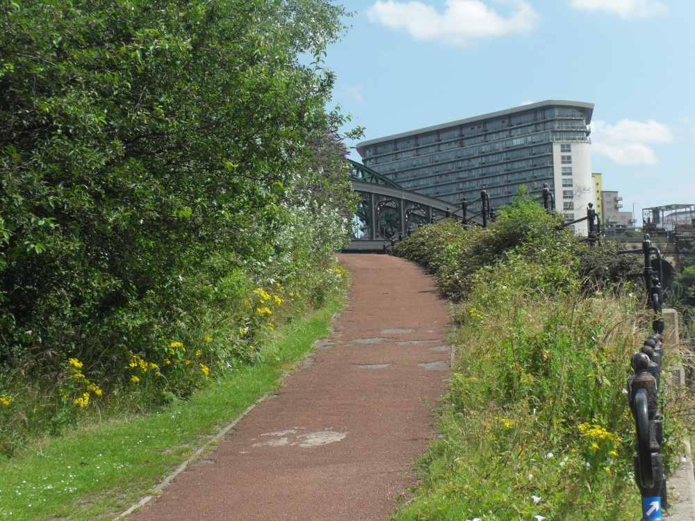 Towards Wearmouth bridge