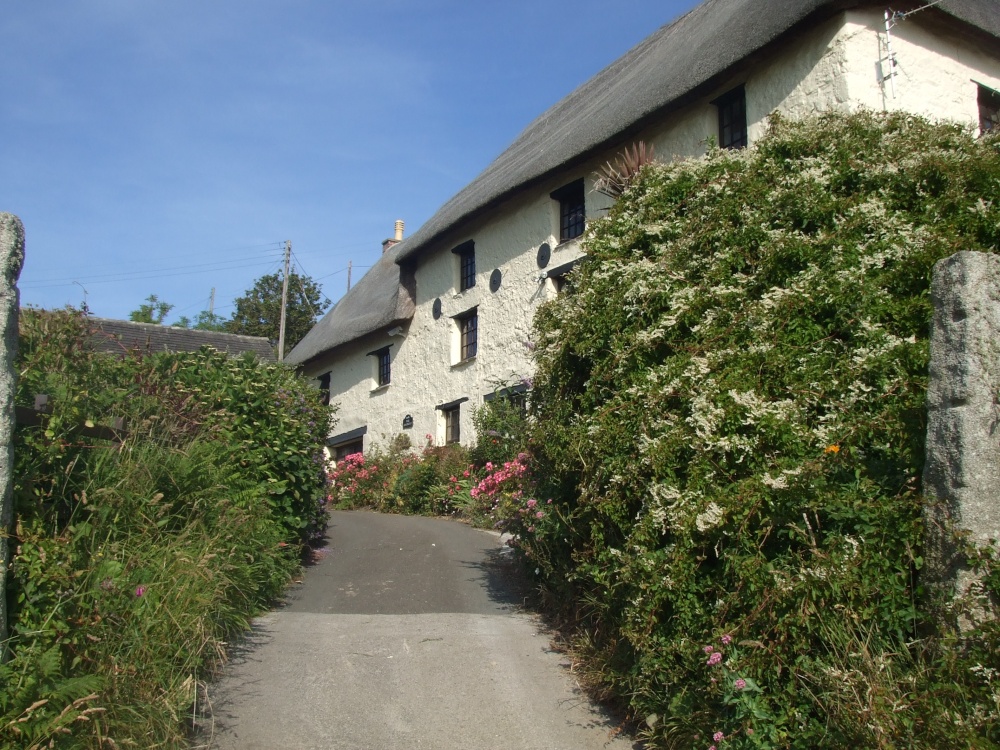 Thatched cottages at Church Cove, near Lizard Village