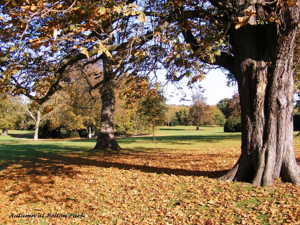 Autumn at Belton Park