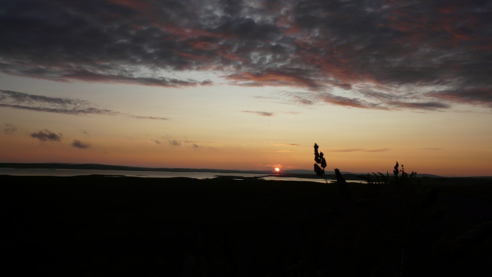 Stenness looking over the Loch Harry, Orkney