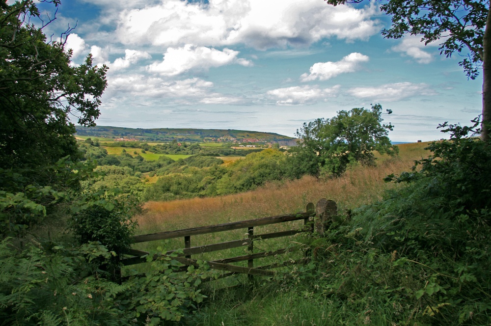 Robin Hood's Bay from Ravenscar railway walk