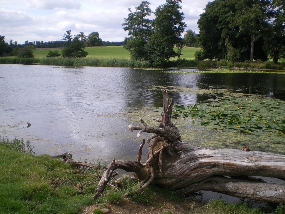 Wimpole Hall