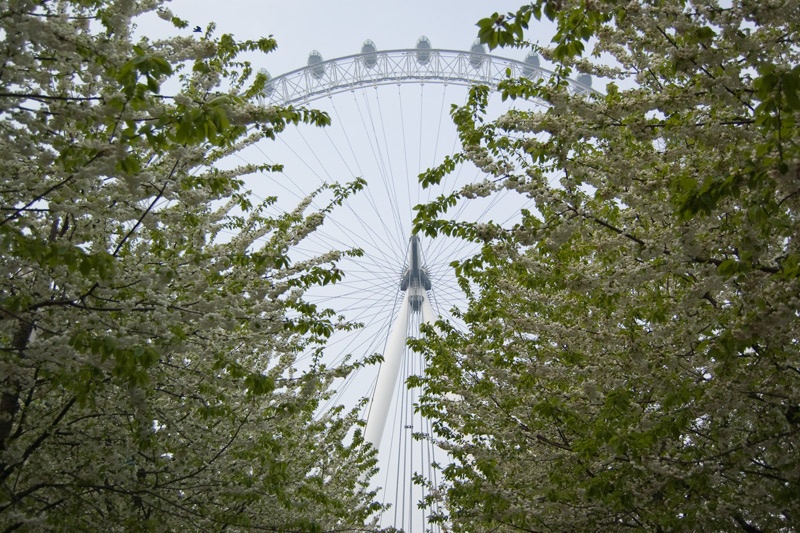 Spring in London