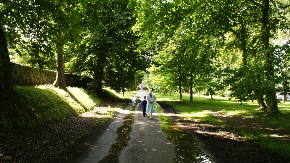 A picture of Swinsty Reservoir