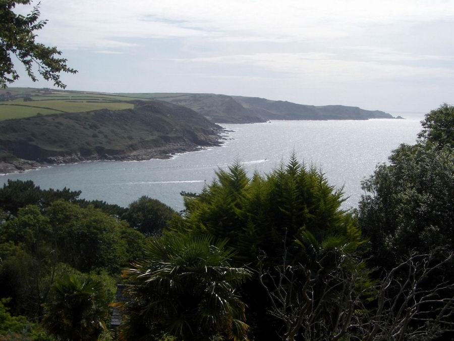 View from Overbecks Garden Salcombe