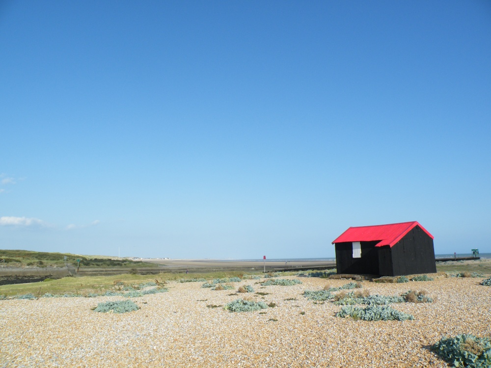 Rye harbour and nature trail