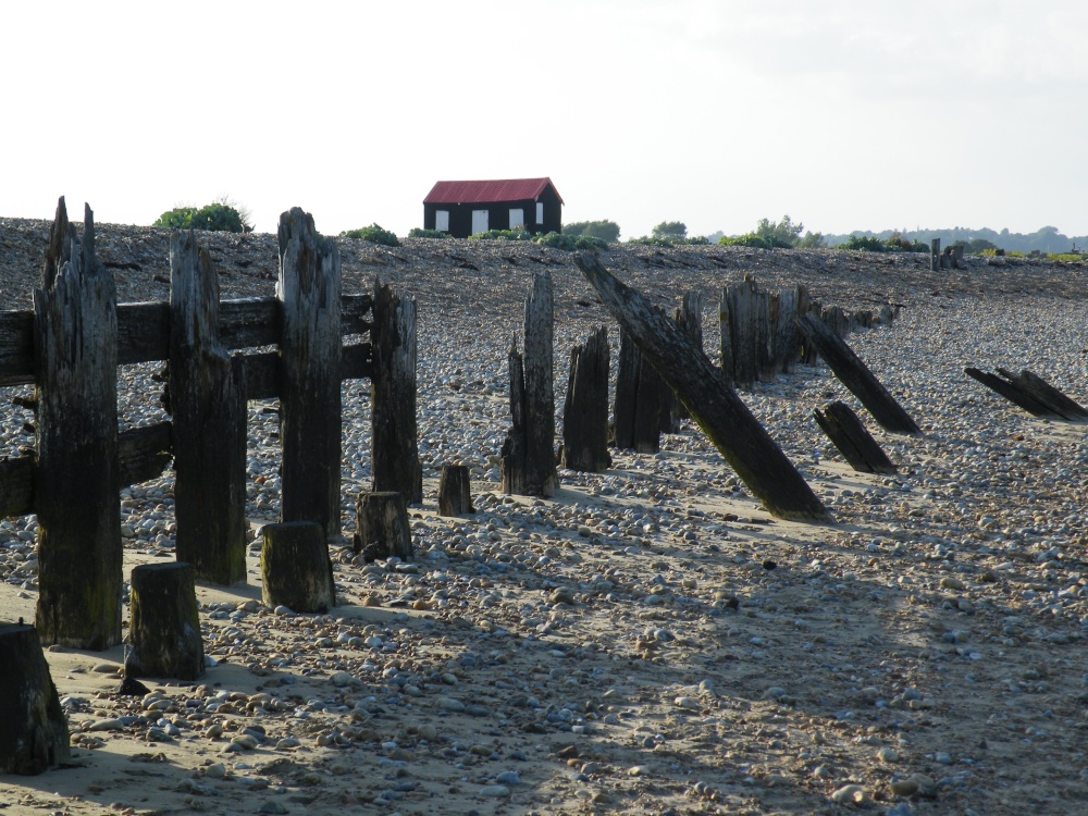 Rye harbour and nature trail