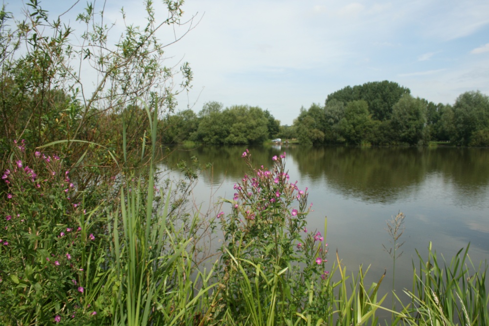 Photograph of Emberton Country Park