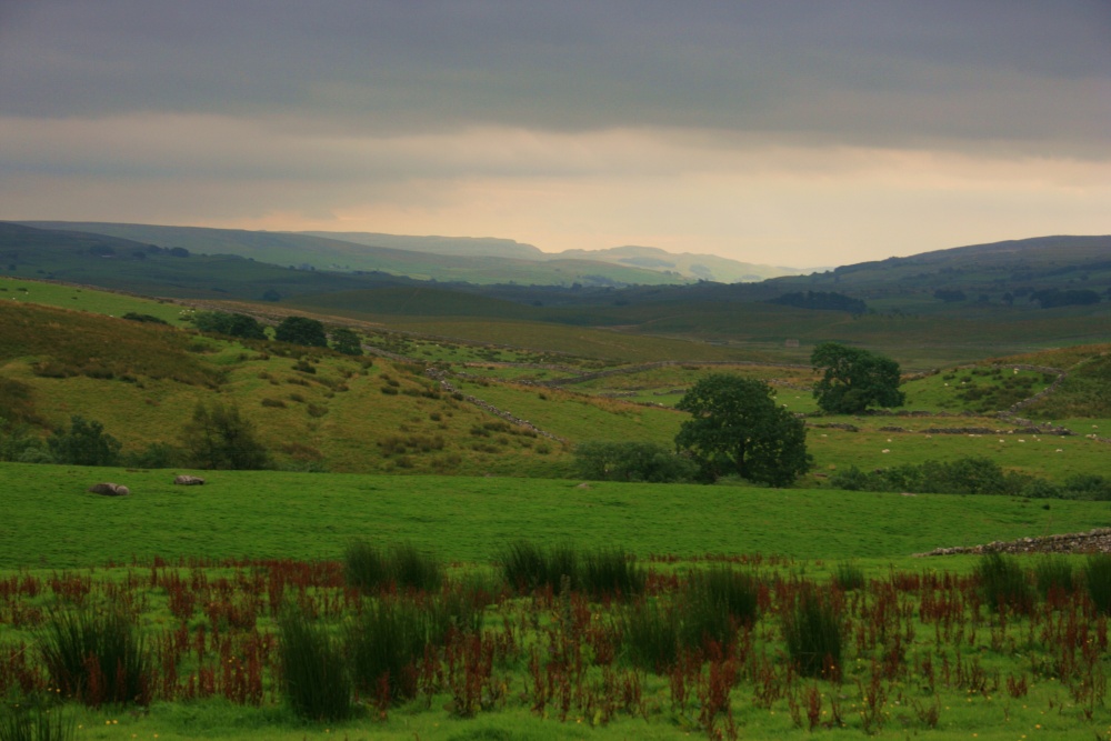 Moorland near Ingleton