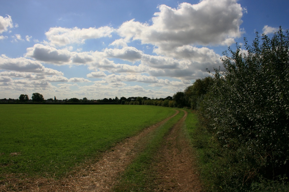 Photograph of Fields near Willerby