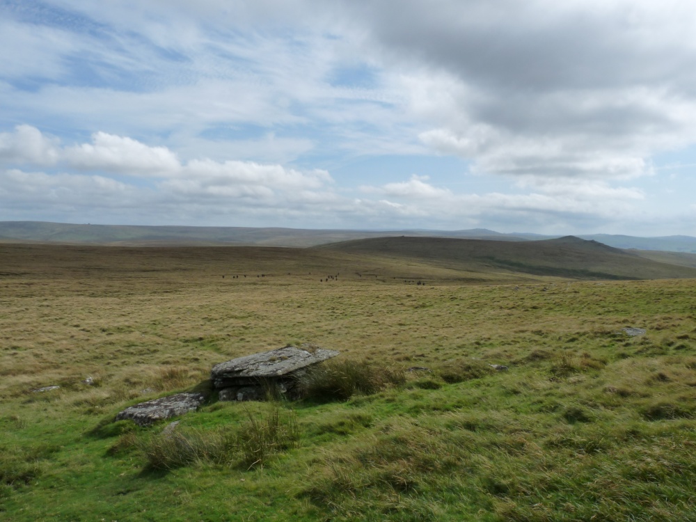 Dartmoor