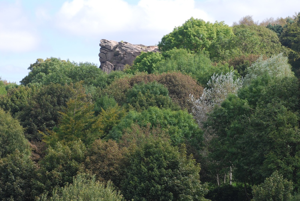 Black Rocks