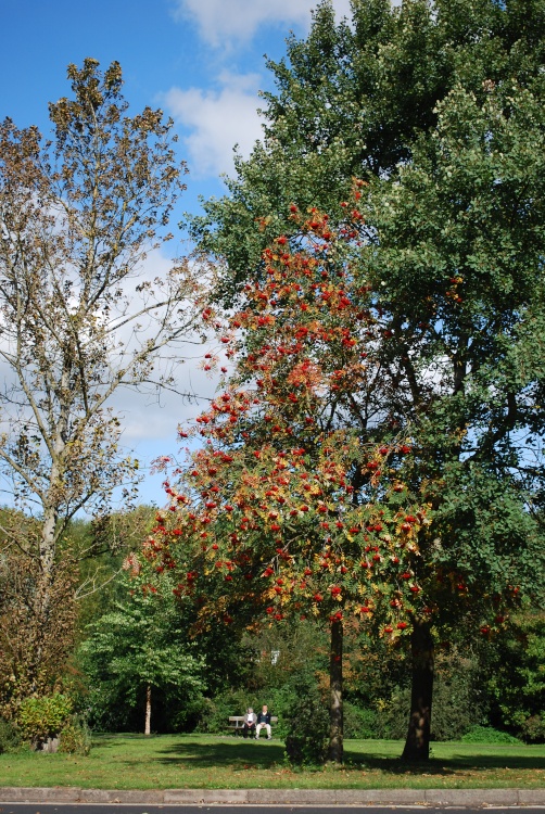 View towards the river