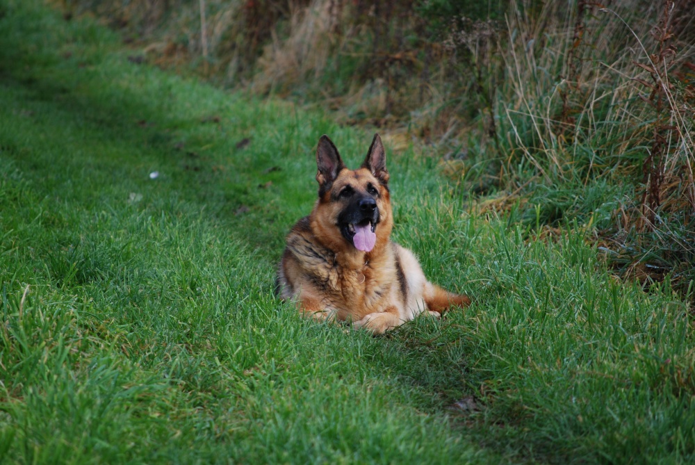 Wilfy chilling out