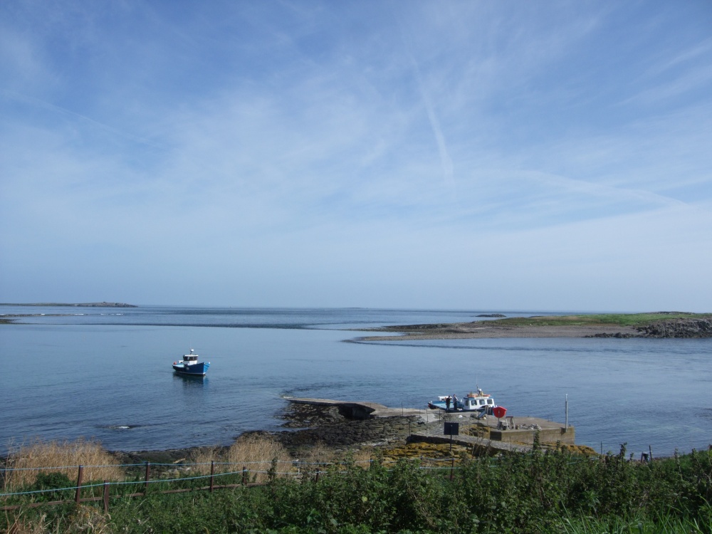 Farne Islands