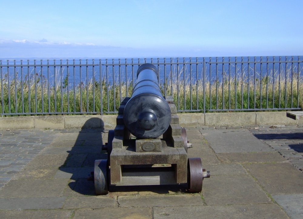 Cannon